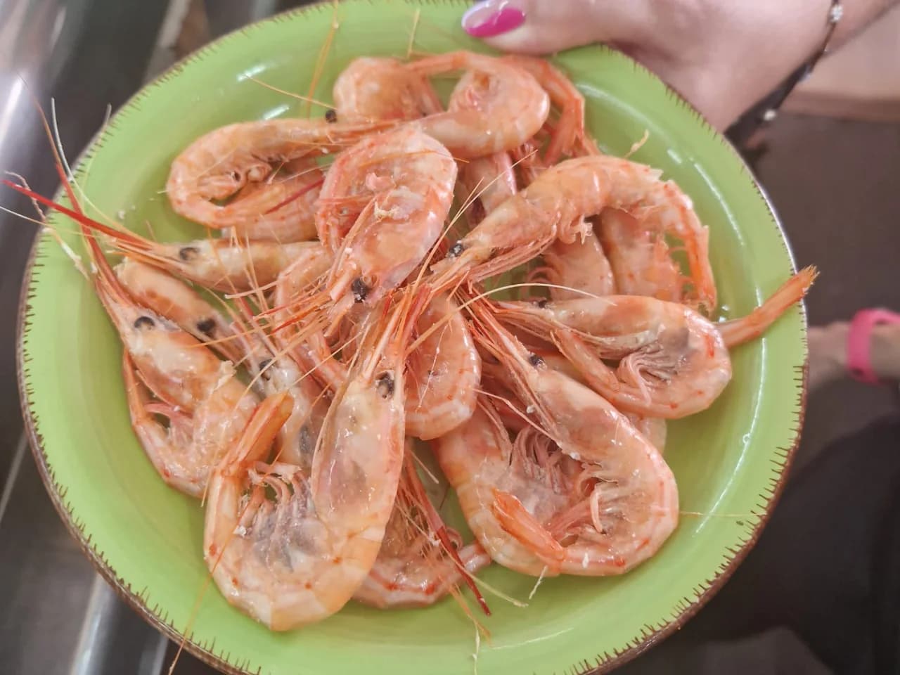 Quisquilla