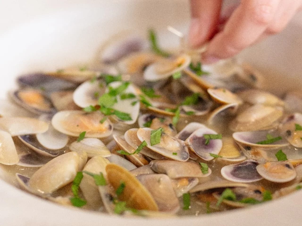 Coquinas de Huelva